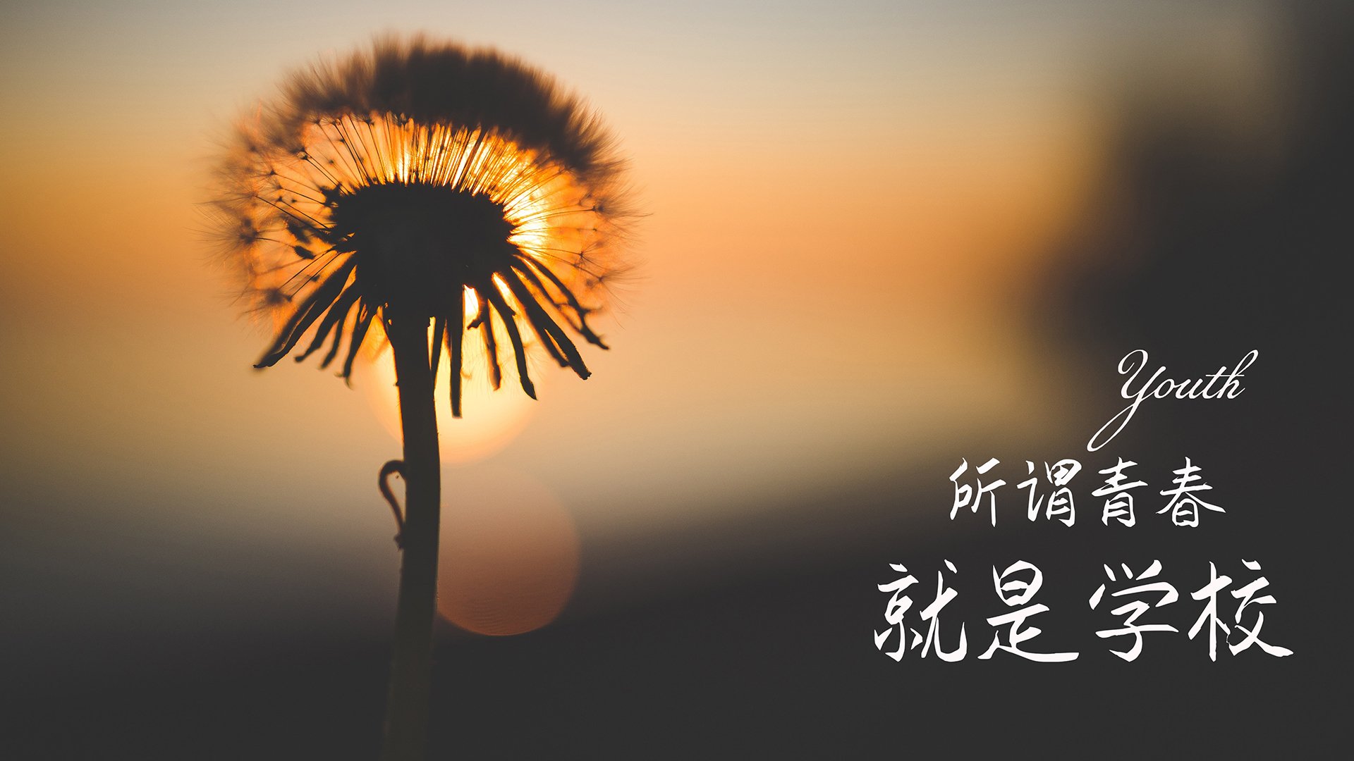 青训专家参与全国青训标准制定，推动行业规范化发展，全国青训营
