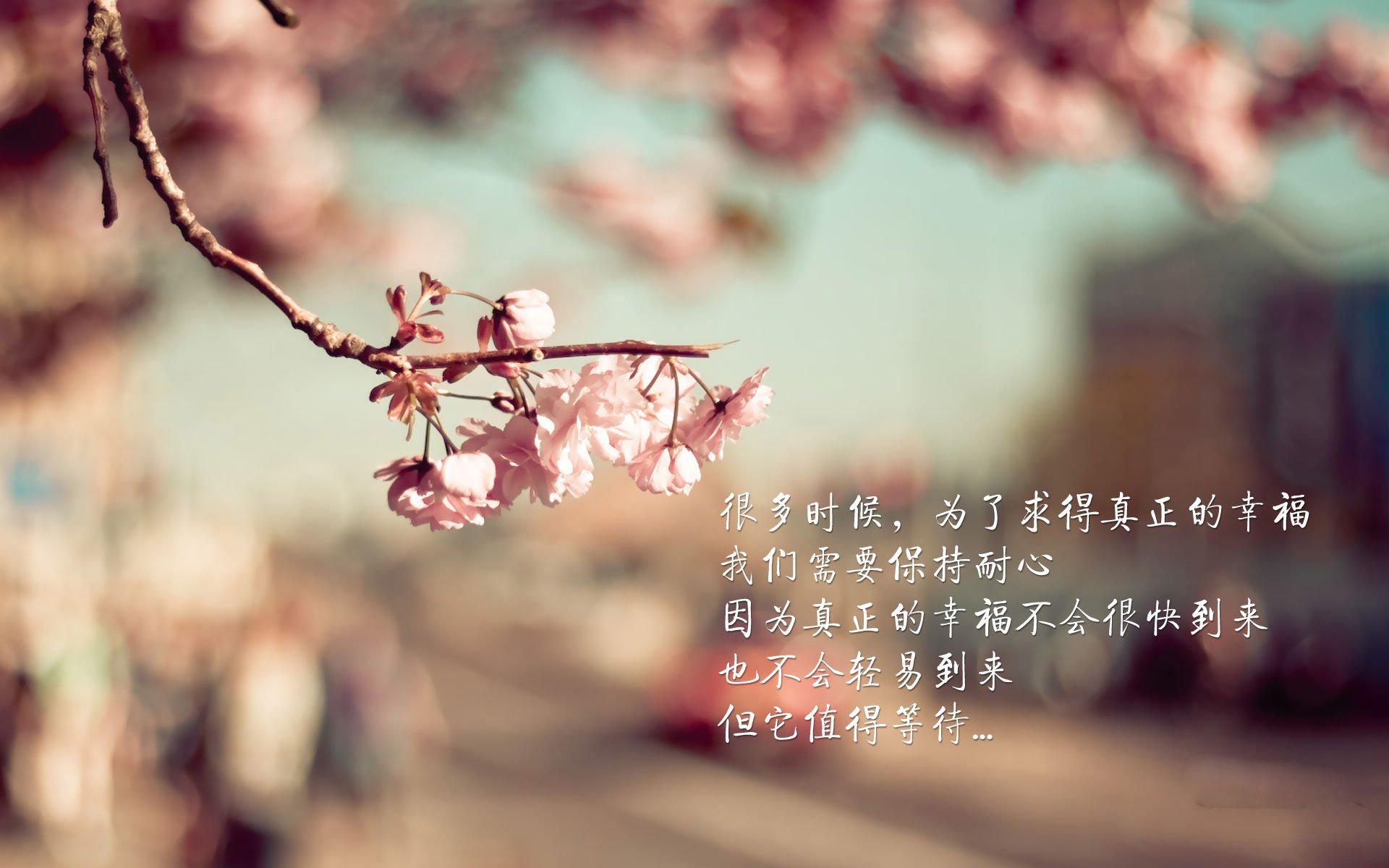 爱游戏直播-BLG战队举办青训营，助力青年选手成长，2019年blg战队人员介绍