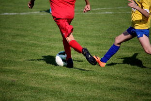 爱游戏体育-中国足球年度训练项目与技战术实战匹配，中国足球队战术