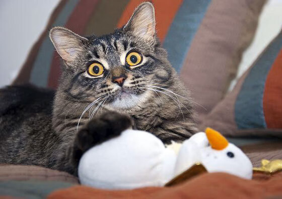 欧洲联赛“皇牌战役”：那些令人难忘的经典比赛