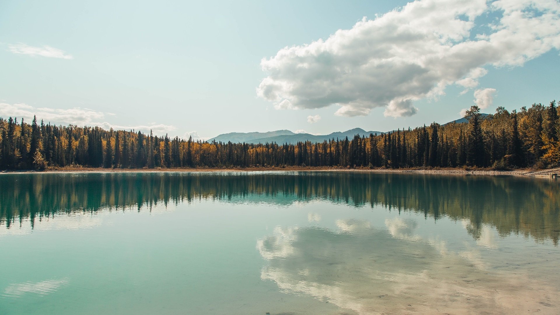 篮球专项训练中核心力量发展策略探讨,篮球核心力量的重要性