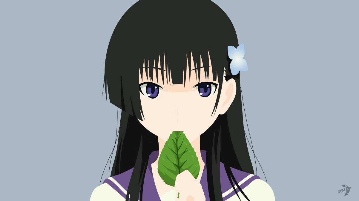 篮球运动员职业生涯管理与转型研究,篮球职业化程度