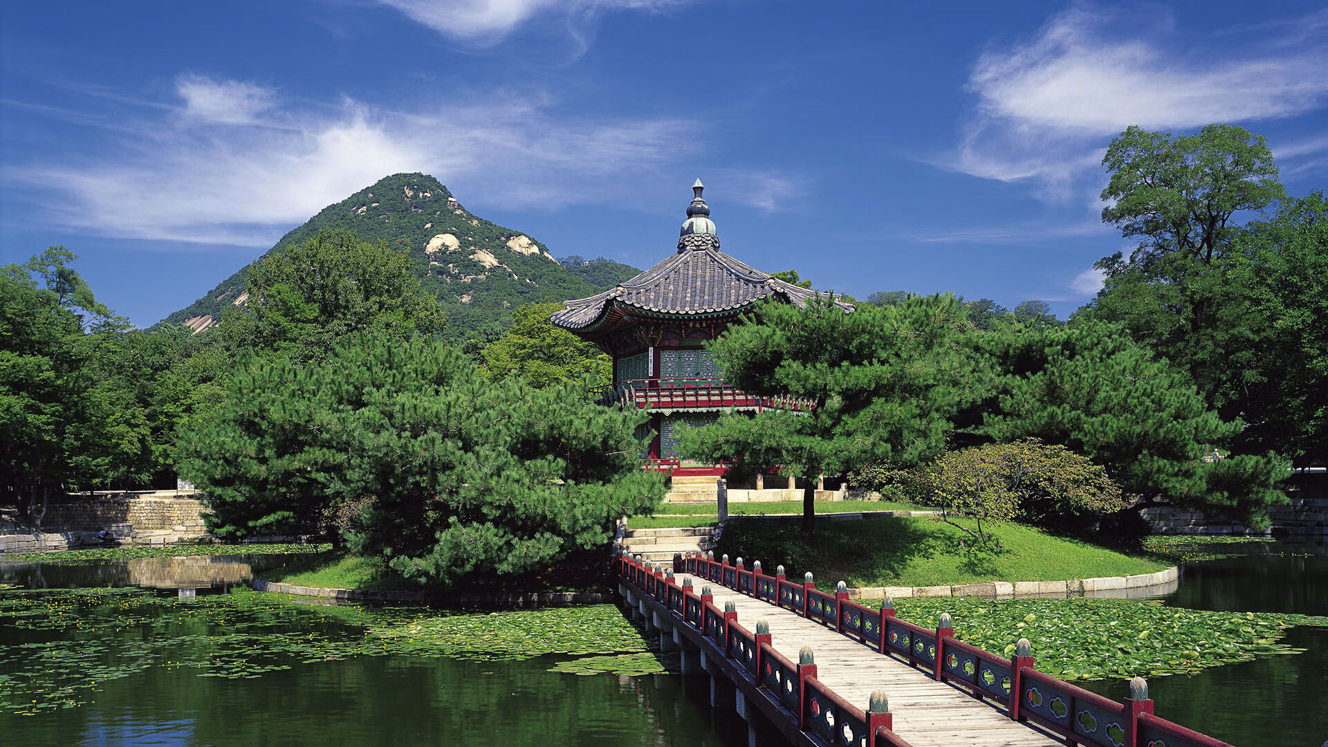 高校运动训练数据智能分析技术,高校运动项目的训练设置