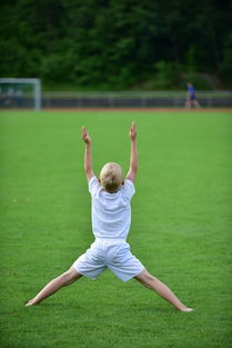 爱游戏官方入口-高校体育赛事观众体验提升，高校体育赛事观众体验提升方案