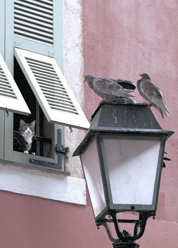 100自冠军转身时间领先0.1秒