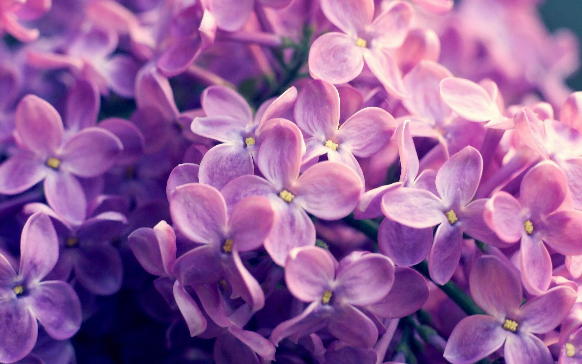 爱游戏平台-中国三人篮球女队优化反击终结效率，中国三人篮球女篮有谁