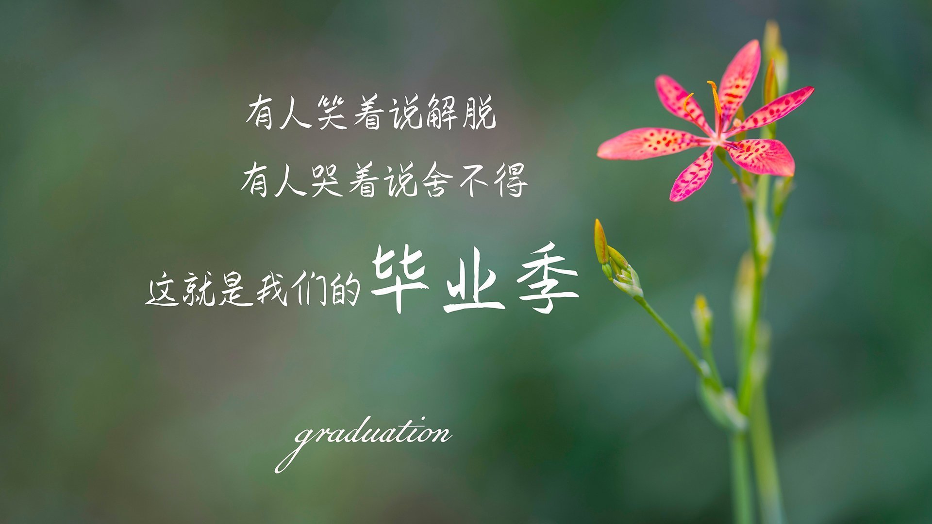 五大联赛球队转会投入与战绩是否成正比,五大联赛转会市场什么时候截止