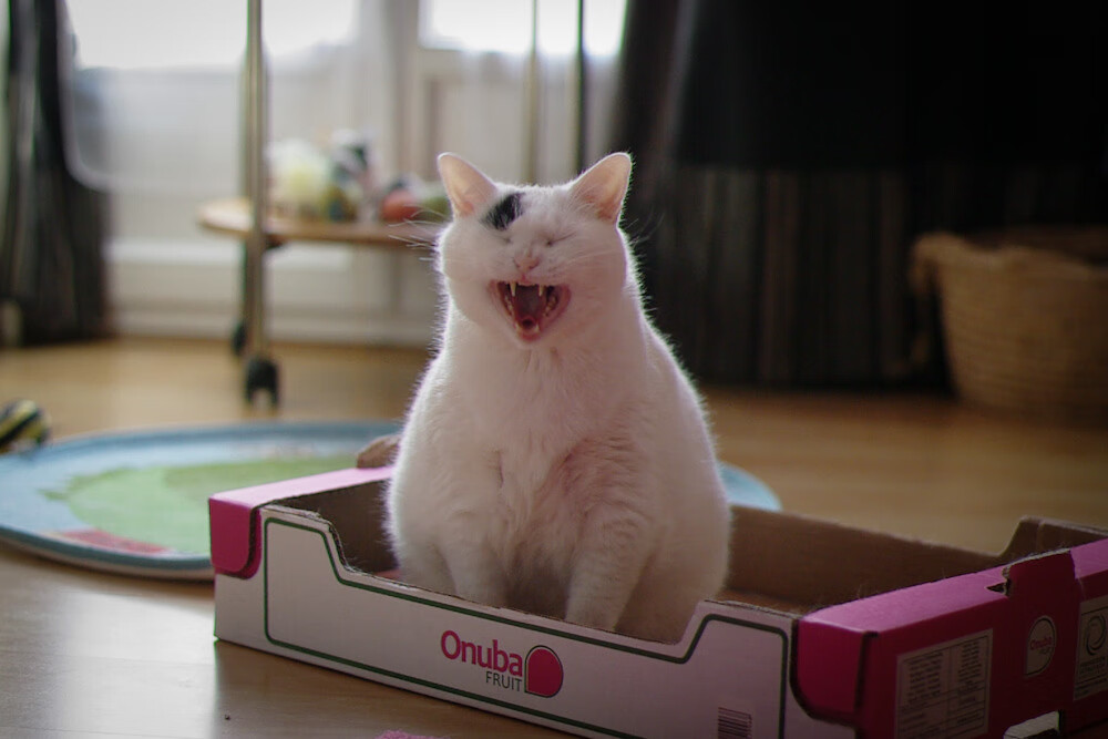 国际热身赛中国足球夺冠 球员精神令人敬佩,国足热身赛赢过哪些强队